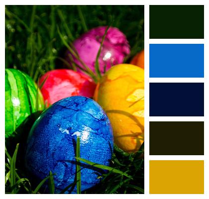 Easter Easter Eggs Nature Image